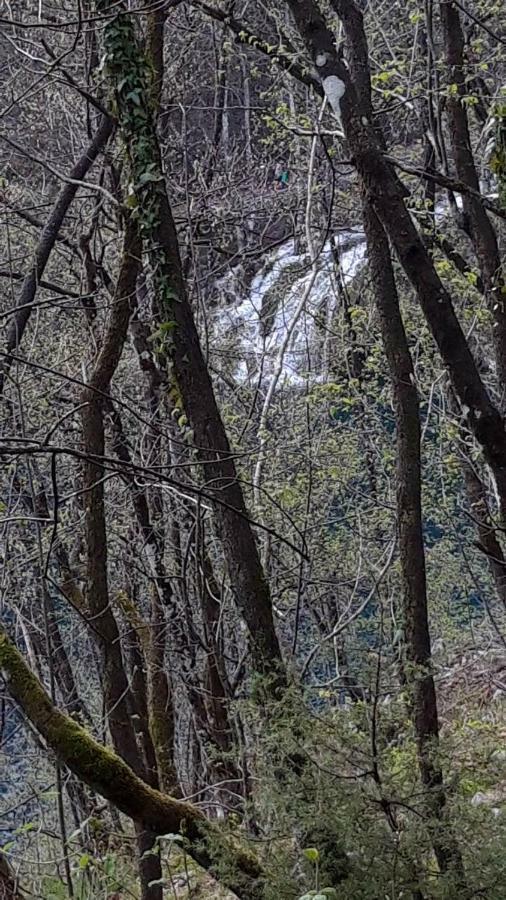 Conjar Villa Saborsko Dış mekan fotoğraf