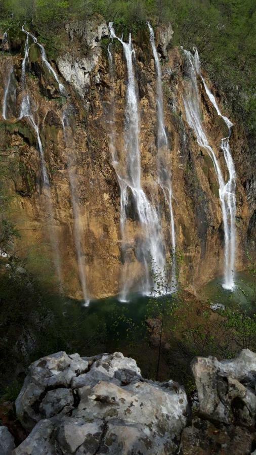 Conjar Villa Saborsko Dış mekan fotoğraf